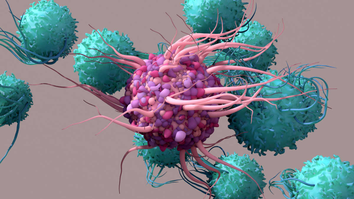 Roche invierte US$70 millones en tecnologías para desarrollar terapias con células T