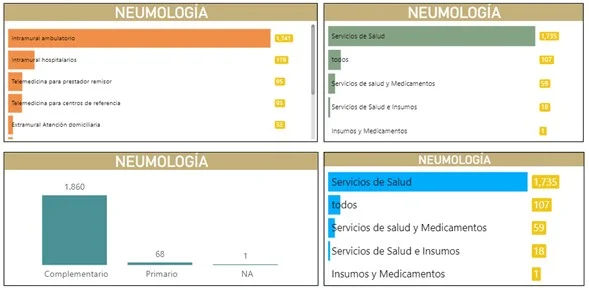 El asma y los determinantes del acceso de los pacientes 4 Imagen5 asma