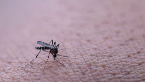 Dengue aumentó en 2022