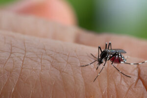 Bucaramanga en alerta por aumento de casos de dengue