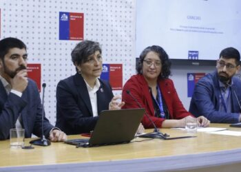 Chile publica resultados de las Estadísticas Vitales 2020