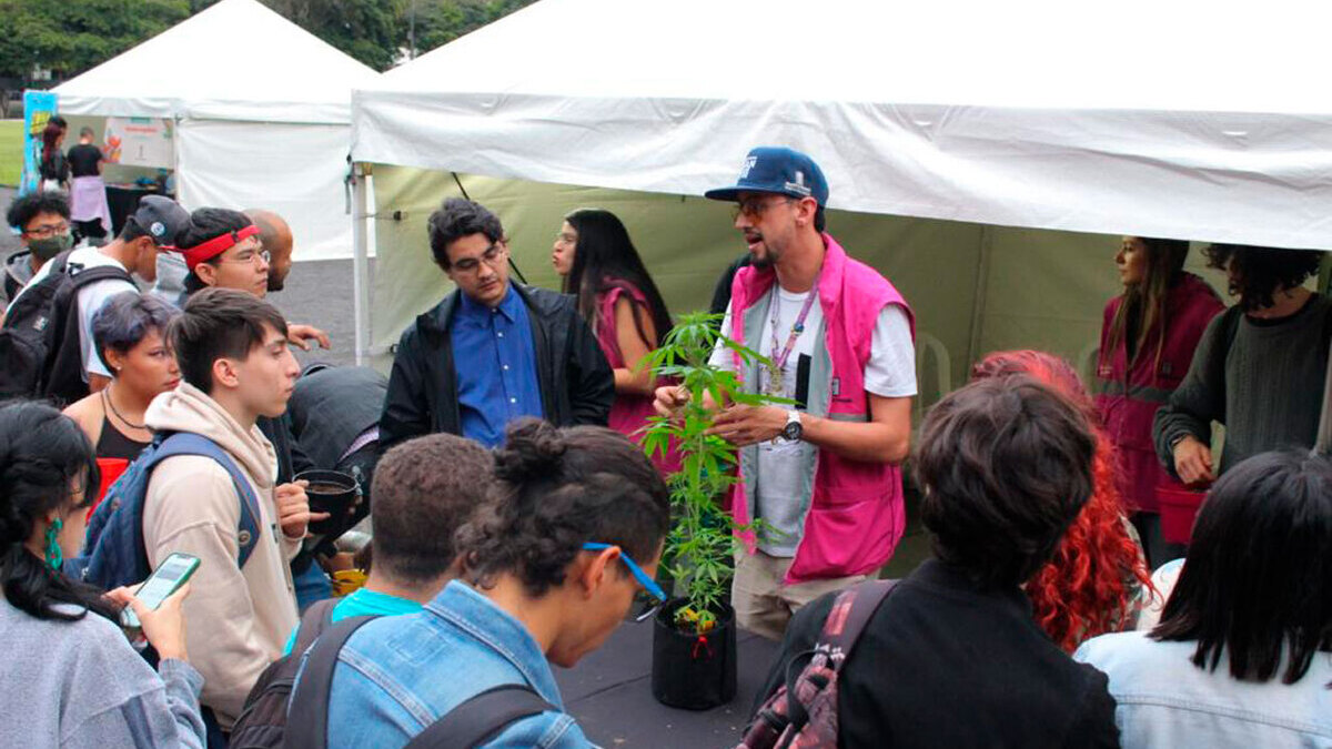 Pedagogía para la salud de los consumidores de cannabis en Medellín