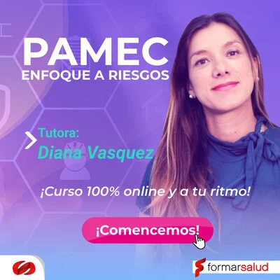 PAMEC-enfoqueariesgos-1 (1)