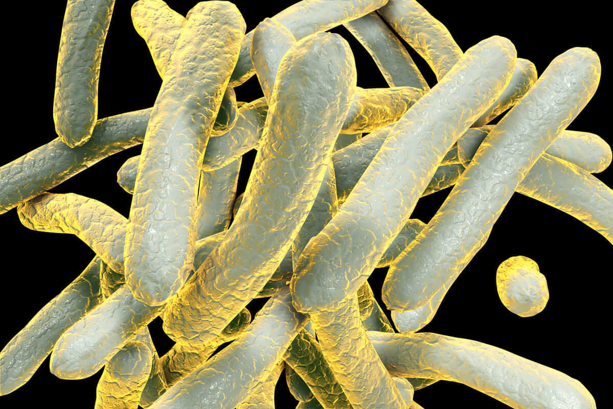Tuberculosis aumenta respuesta de anticuerpos del VIH en personas seropositivas