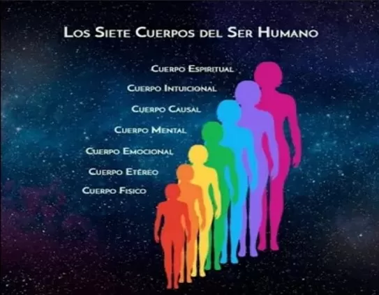 Imagen1 cuerpos humanos