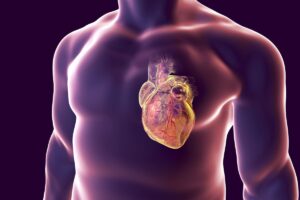 Mejora de la predicción de riesgo genético para enfermedades cardíacas mediante el uso de datasets más diversos