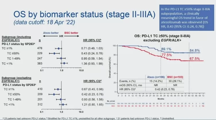 Hallazgos del estudio Impower010: adyuvancia en cáncer de pulmón 6 estudio impower010 2
