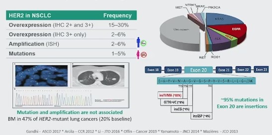 mutaciones her2 cancer de pulmon
