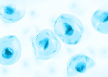 Debate ético sobre la terapia de células madre en el campo de la medicina