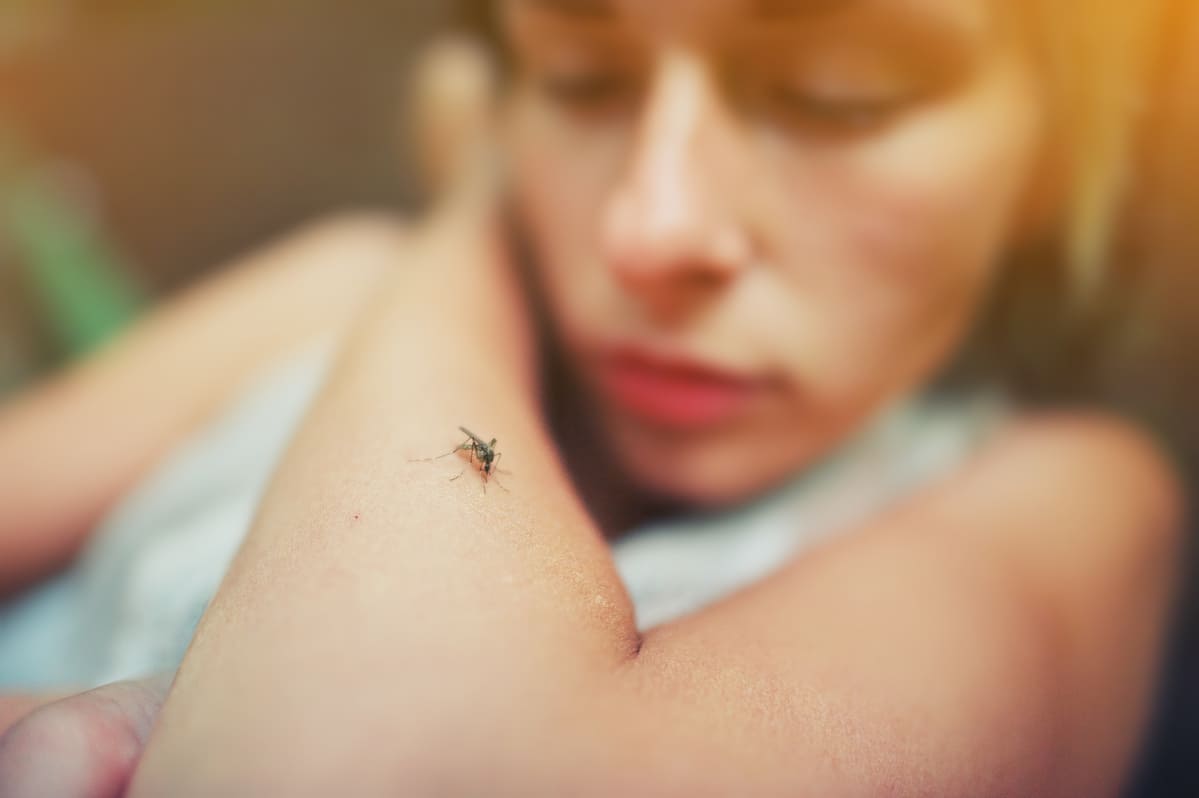 Allerta in Italia: aumento dei casi nazionali di dengue e suo impatto in Europa