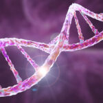 El enigma del ADN mitocondrial heredado solo de la madre