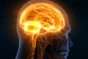 Lo que debes saber sobre la encefalitis inflamación del cerebro
