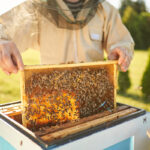 Requisitos sanitarios que deberá cumplir la miel para consumo humano