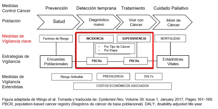 El valor de los registros poblacionales de cáncer 1 1