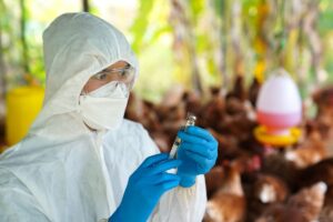 CDC publicó un Informe técnico sobre el virus de la influenza aviar A (H5N1) altamente patógena ¿Cuál es la situación en Colombia