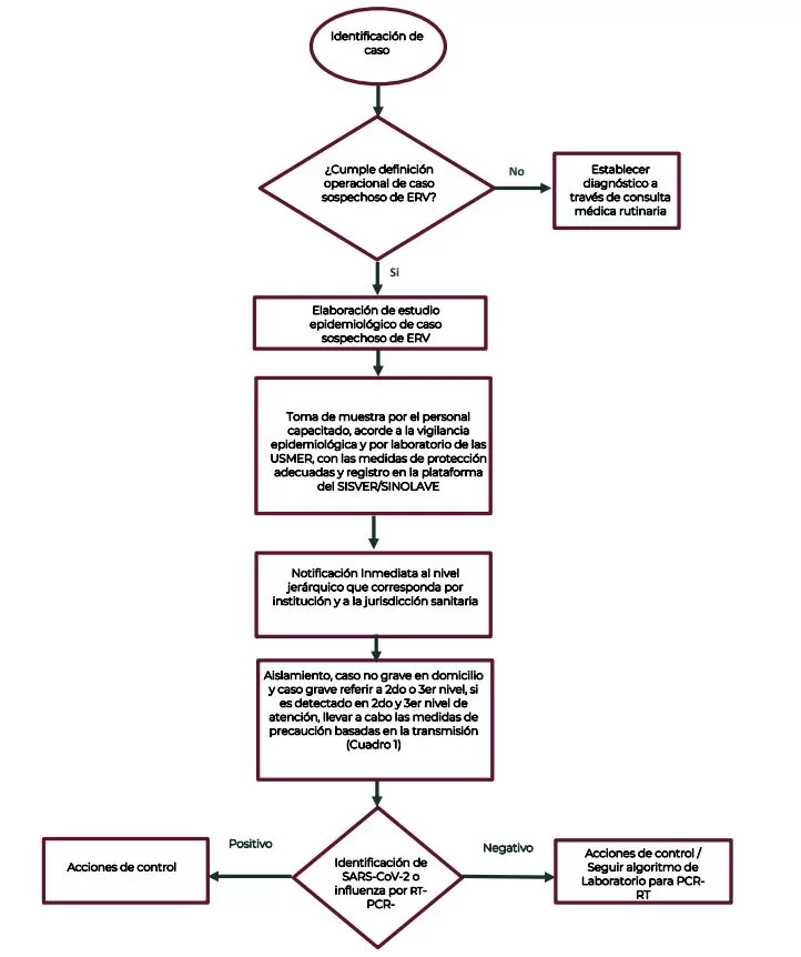 algoritmo casos sospechosos enfermedad respiratoria viral
