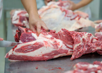 Gobierno emite decreto para reactivar mataderos municipales y reducir precios de la carne
