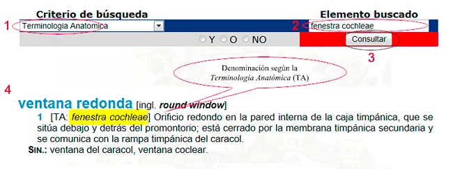 Primer diccionario panhispánico de términos médicos publicado por la RANME 3 Imagen3
