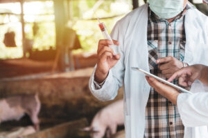 Primer caso humano de gripe porcina H1N2 detectado en Reino Unido