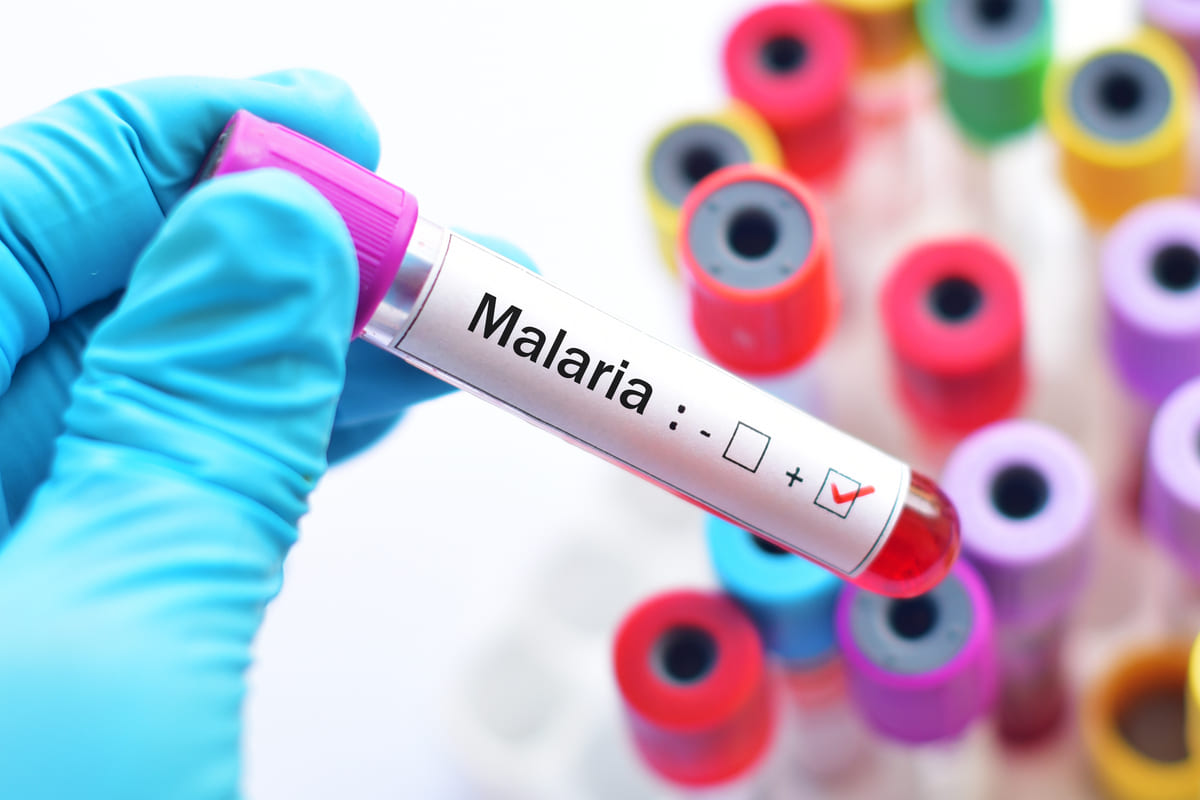 La cura para la malaria se vuelve aún más desafiante de lo esperado