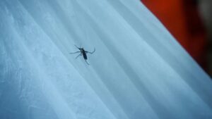 Malaria Lineamientos Técnicos y Operativos para la Prevención y Control en Colombia Resolución 2073 de 2023