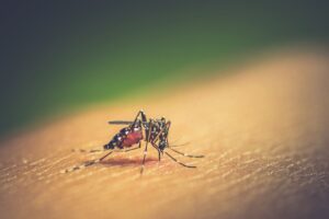 Dengue en el país: 900 casos y ocho muertos se registran en el Valle, 2210 casos en Neiva en el 2024