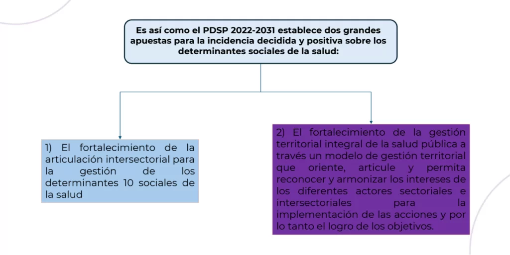 Análisis del futuro de la gestión en salud desde las ESE - Plan Decenal de Salud Pública 4 image 48
