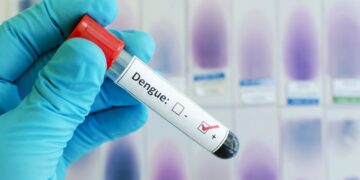 Alerta epidemiológica: aumento de casos de dengue en la región de las Américas