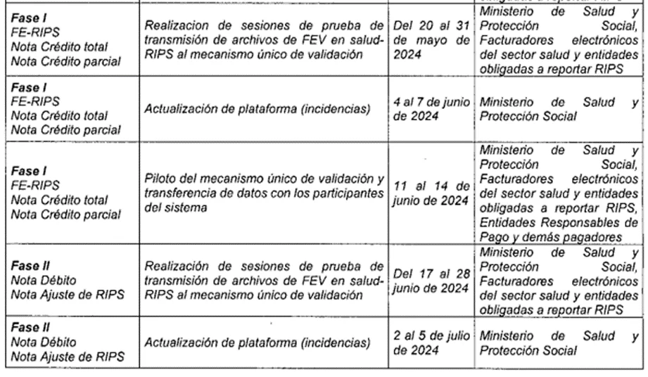 Resolución 0558 de 2024: Cambios en la transición del RIPS para la Factura Electrónica de Venta -FEV 1 image 7