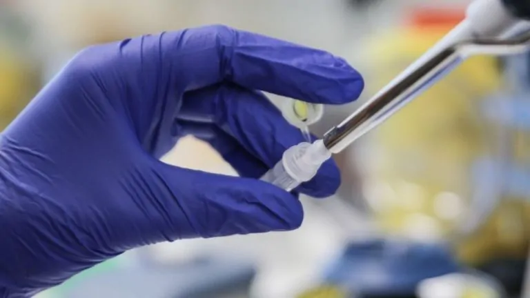 Reforma a la Salud 123 OMS pide acceso urgente a pruebas diagnósticas para mpox y convoca a fabricantes para revisión de emergencia