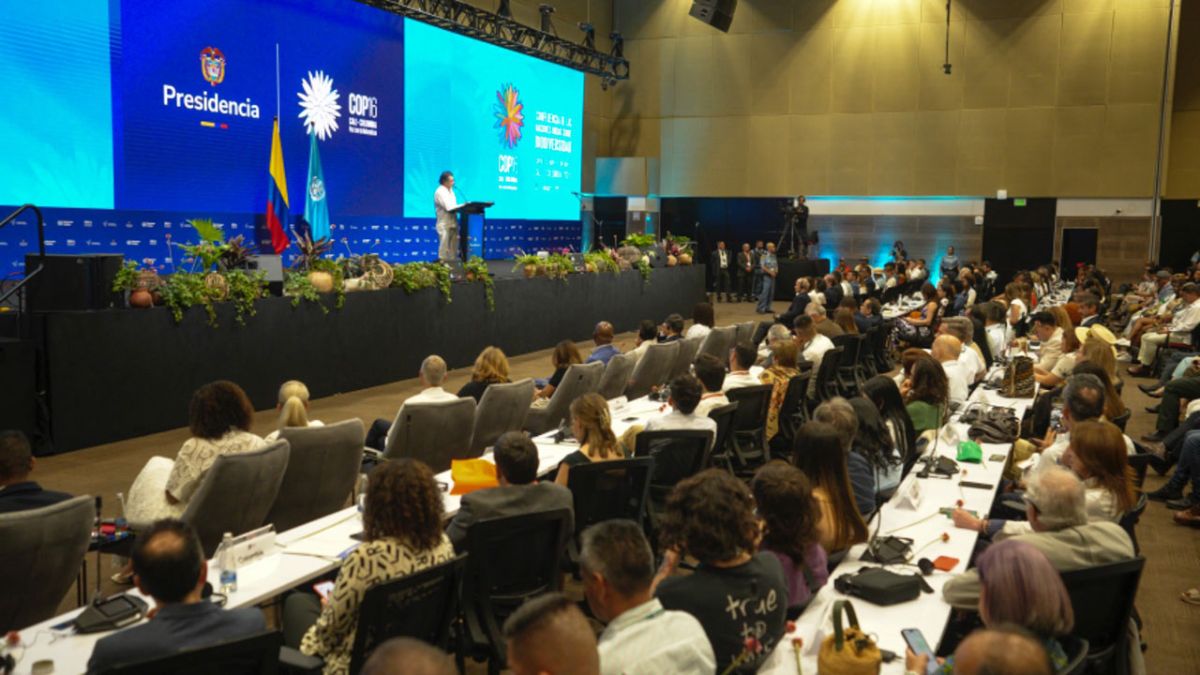 Presidente Petro advierte sobre los peligros de la inteligencia artificial sin regulación en la COP16