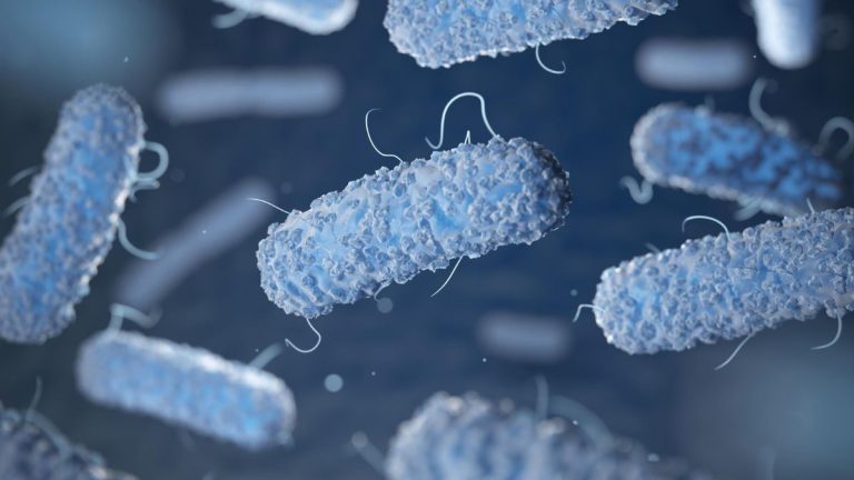 Brote de infección por Klebsiella oxytoca en el Estado de México, ya son 20 los casos reportados