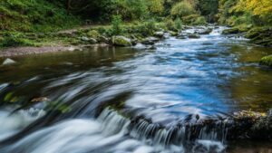 La cantidad de agua desperdiciada podría abastecer a cerca de 200 millones de personas