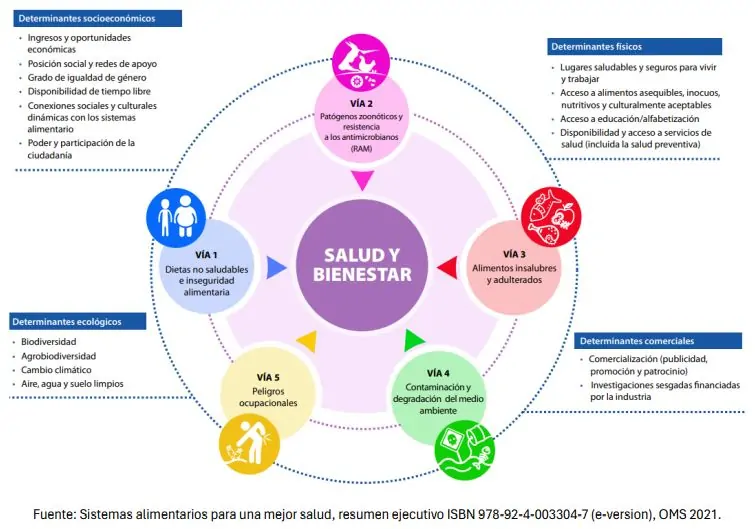 Equidad y prácticas alimentarias 1 Captura 1