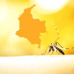 Minsalud confirma 79 casos de fiebre amarilla en Colombia Tolima y Putumayo, los más afectados