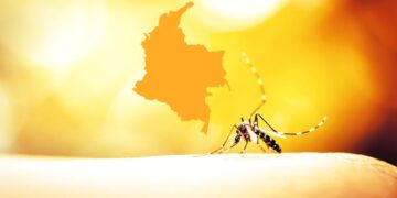 Minsalud confirma 79 casos de fiebre amarilla en Colombia Tolima y Putumayo, los más afectados