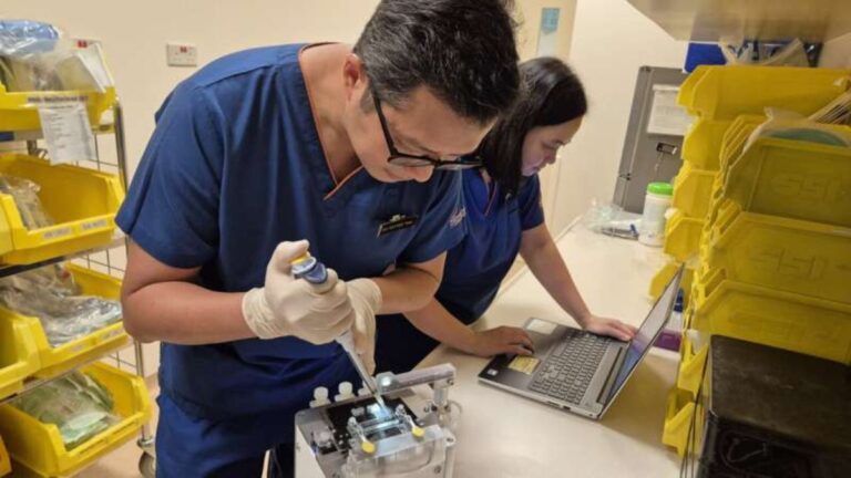 BLIPI el innovador dispositivo que revoluciona el diagnóstico inmunológico en recién nacidos con una sola gota de sangre
