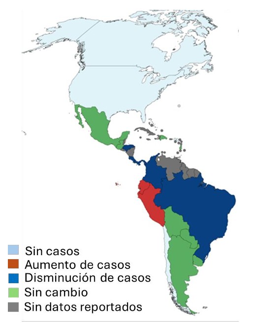 Las Americas enfrentan mas de 2 millones de casos sospechosos de dengue en 2025 02