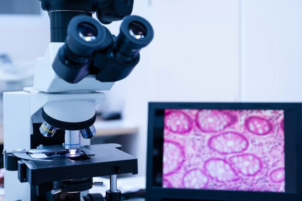 Salud Colsubsidio lanza el primer modelo de patología 100% digital en Colombia y transforma el diagnóstico clínico en el país 2 patologia digital