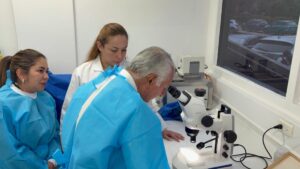 Colombia refuerza su respuesta epidemiológica frente al brote de fiebre amarilla balance desde el Instituto Nacional de Salud