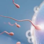 Día mundial de la fertilidad desafíos y perspectivas de la salud reproductiva en Colombia