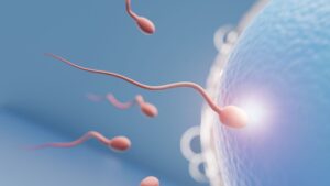 Día mundial de la fertilidad desafíos y perspectivas de la salud reproductiva en Colombia