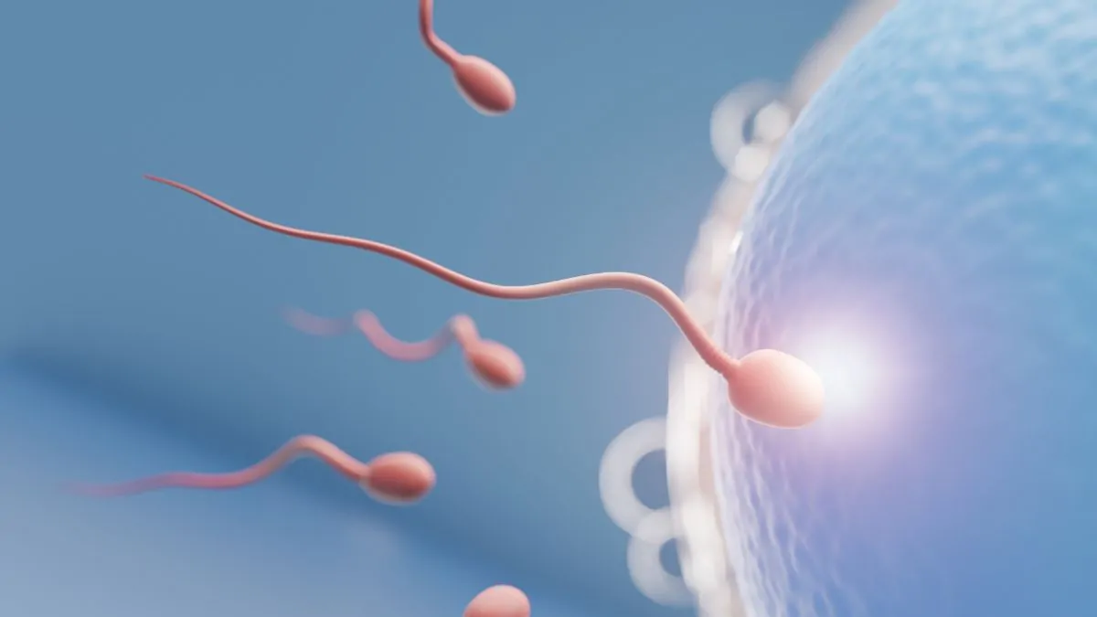 Día mundial de la fertilidad desafíos y perspectivas de la salud reproductiva en Colombia