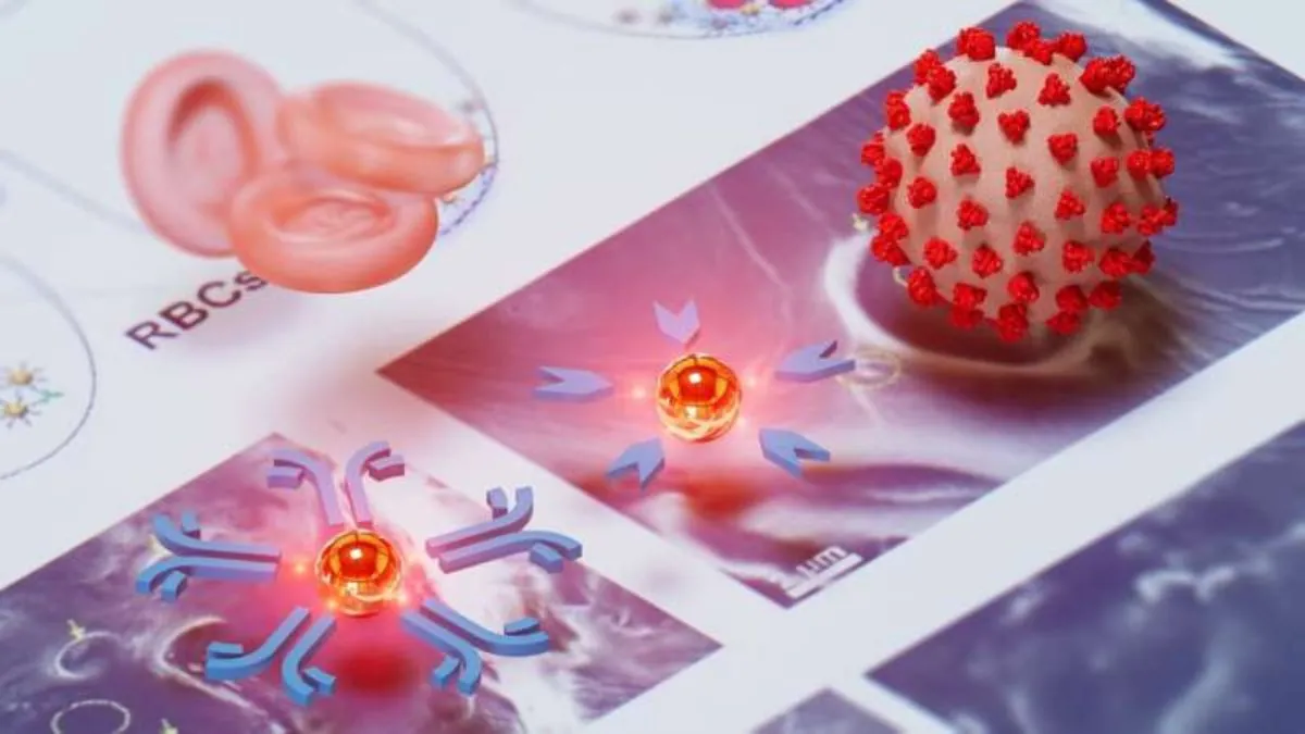 Prueba portátil detecta enfermedades infecciosas en 15 minutos con una sola gota de sangre