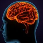 Alzheimer el biomarcador en sangre y los nuevos fármacos que revolucionan su diagnóstico y tratamiento
