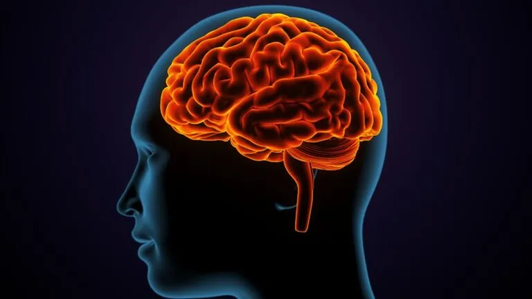 Alzheimer el biomarcador en sangre y los nuevos fármacos que revolucionan su diagnóstico y tratamiento