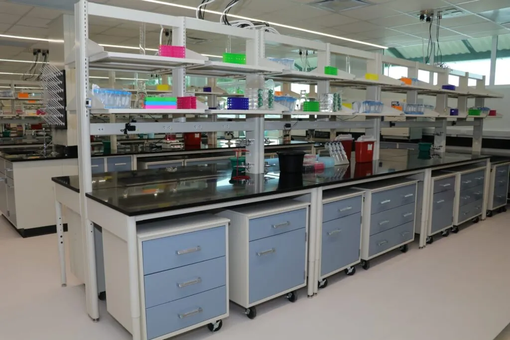 whatsapp image 2025 09 12 at 2.06.25 pm 4