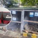 Inicio 17 América Latina avanza hacia una gestión segura y sostenible de los desechos médicos con apoyo internacional