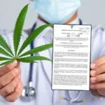 Inicio 19 Gobierno habilita la flor de cannabis como producto medicinal en Colombia así se aplicará el Decreto 1138 de 2025