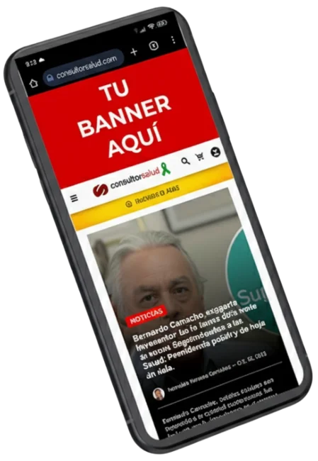 Portafolio de pauta 27 celular sección pauta en el sitio web